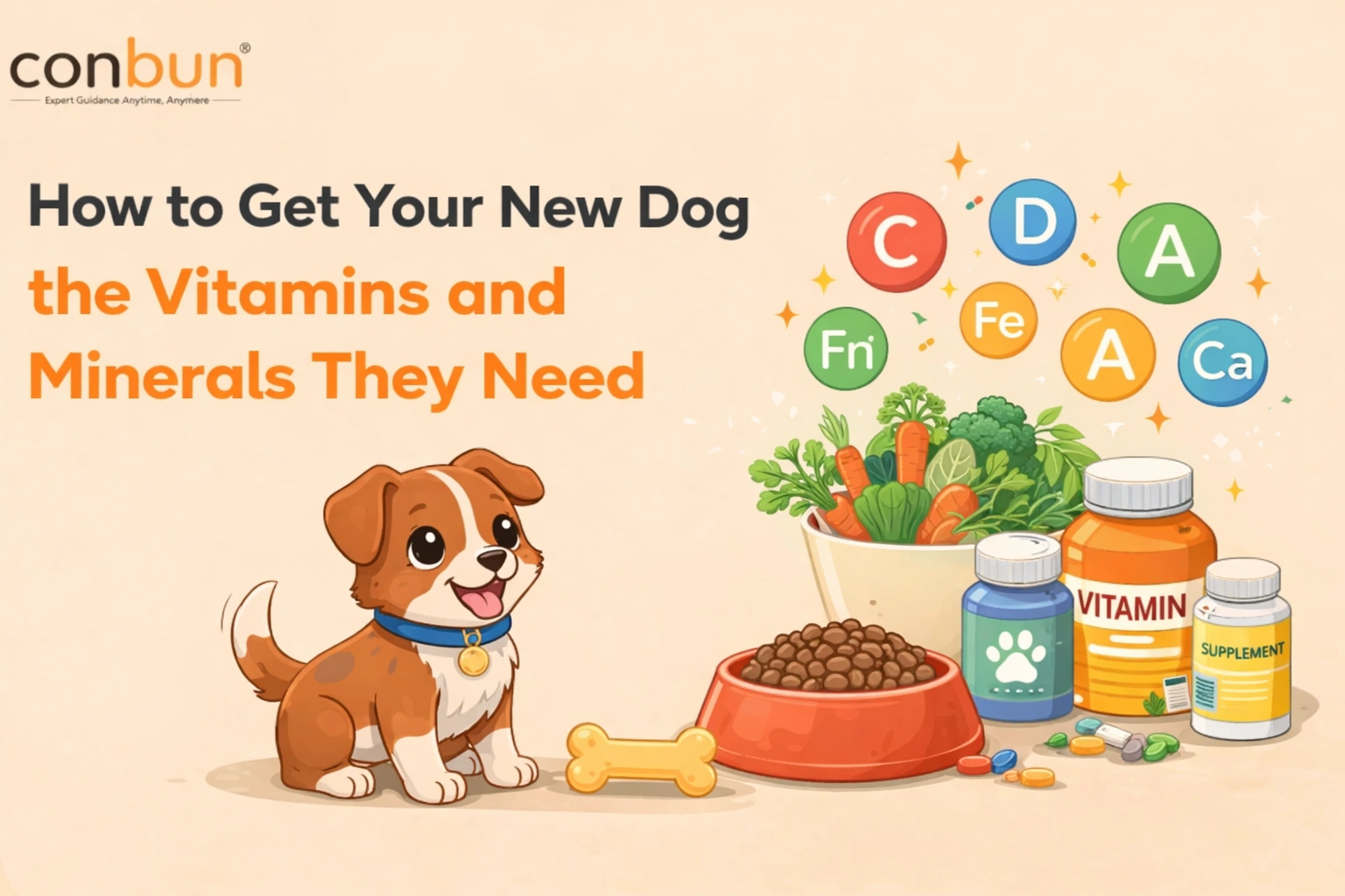 How to Get Your New Dog the Vitamins and Minerals They Need